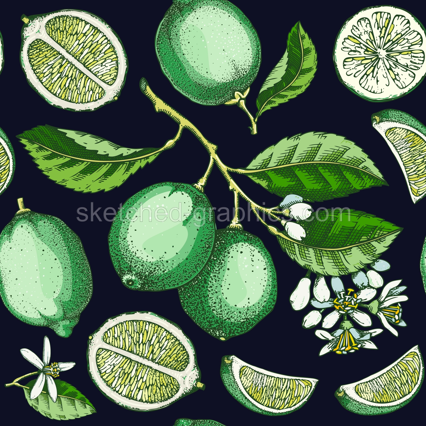 Exotic plants seamless pattern. Lime fruit and flowers sketches. Botanical background. Citrus fruit texture. Hand drawn vector illustration. NOT AI generated Illustration